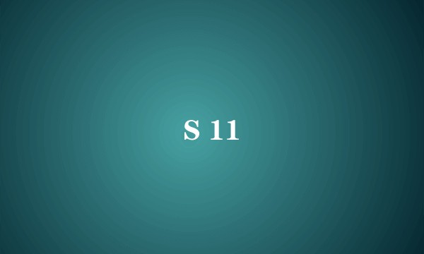 S 11