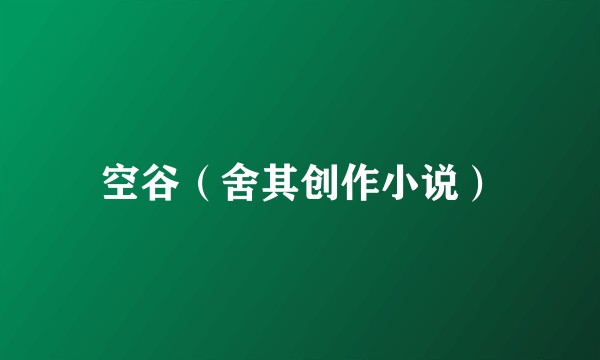 空谷（舍其创作小说）