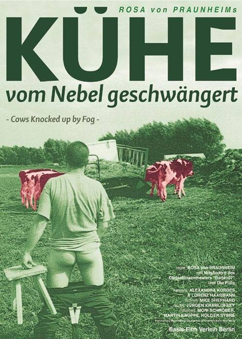 Kühe, vom Nebel geschwängert