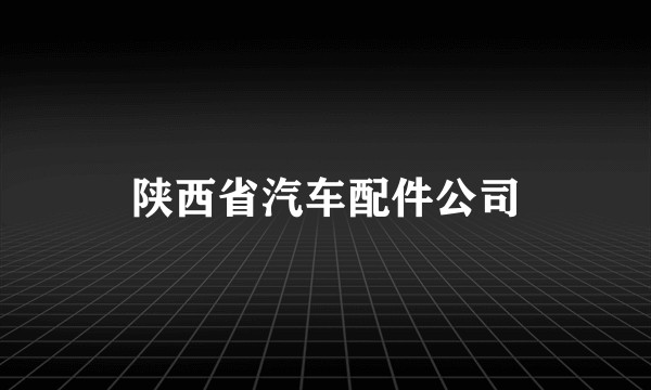 陕西省汽车配件公司