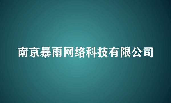 南京暴雨网络科技有限公司
