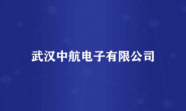 武汉中航电子有限公司
