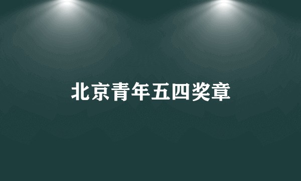 北京青年五四奖章