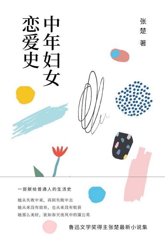 中年妇女恋爱史（张楚著小说集）