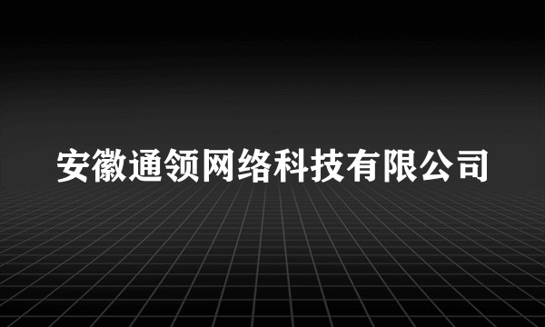 安徽通领网络科技有限公司