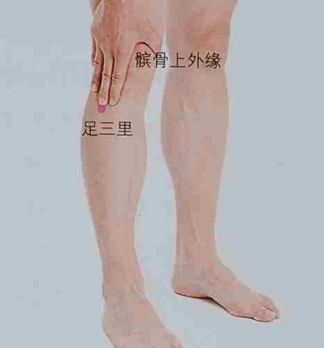 足三里灸