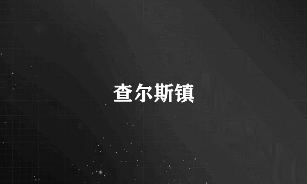 查尔斯镇