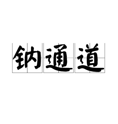 钠通道