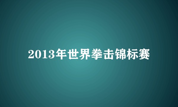 2013年世界拳击锦标赛