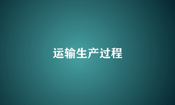 运输生产过程