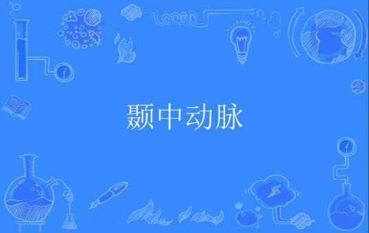 颞中动脉
