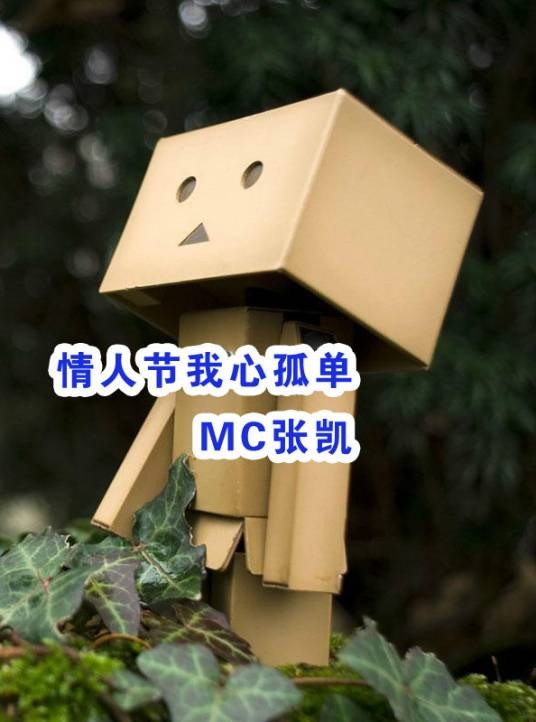 情人节我心孤单