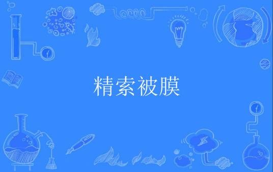 精索被膜