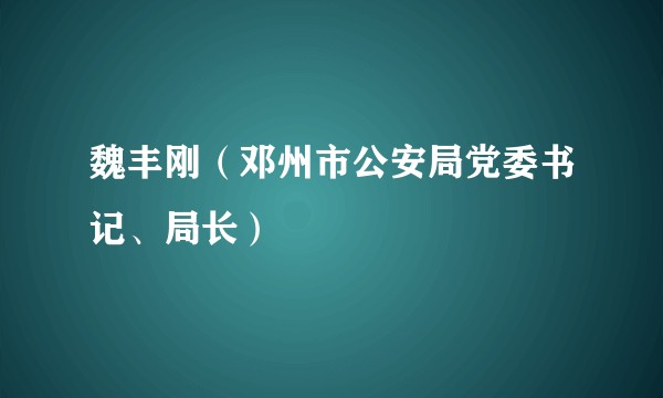 魏丰刚（邓州市公安局党委书记、局长）