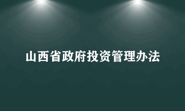 山西省政府投资管理办法