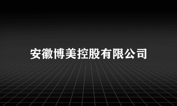 安徽博美控股有限公司
