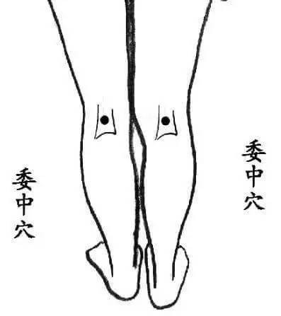 委中