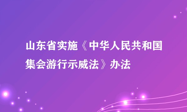 山东省实施《中华人民共和国集会游行示威法》办法