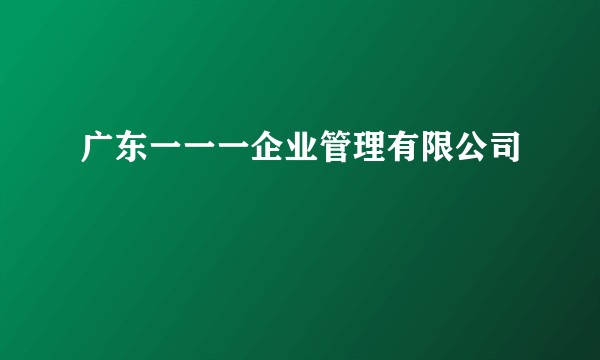 广东一一一企业管理有限公司