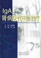 LgA肾病现代中医治疗