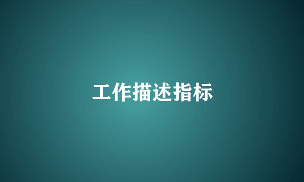 工作描述指标