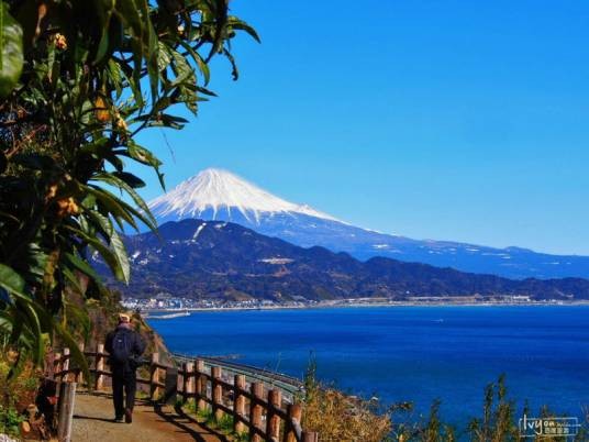 清水市(日本静冈县下辖市)