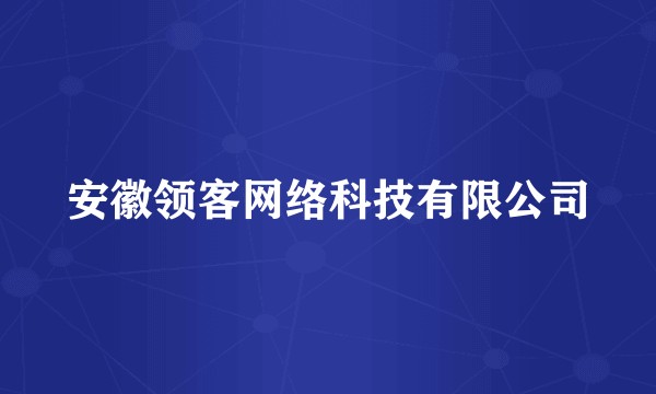 安徽领客网络科技有限公司