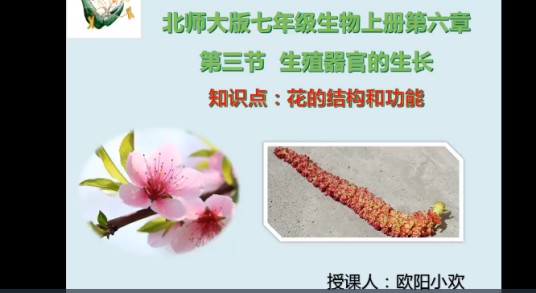 花的结构和功能