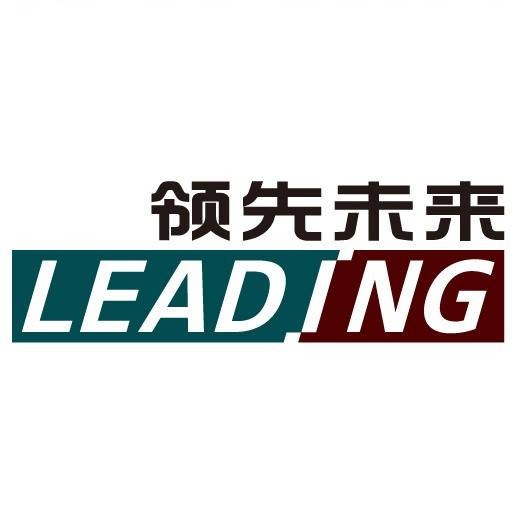 领先未来科技集团有限公司