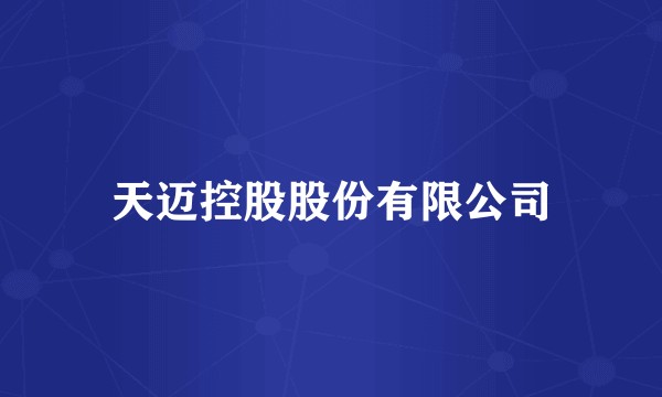 天迈控股股份有限公司