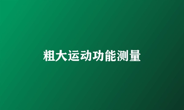 粗大运动功能测量