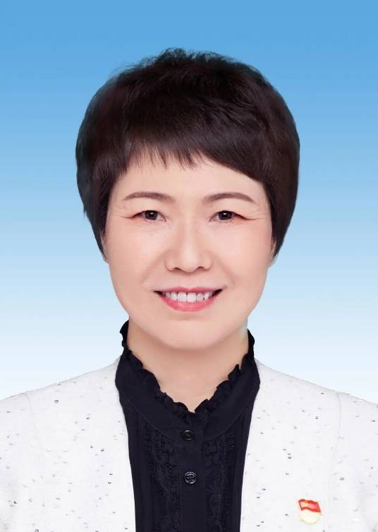 孙玉会(河南省委第三巡视组组长)