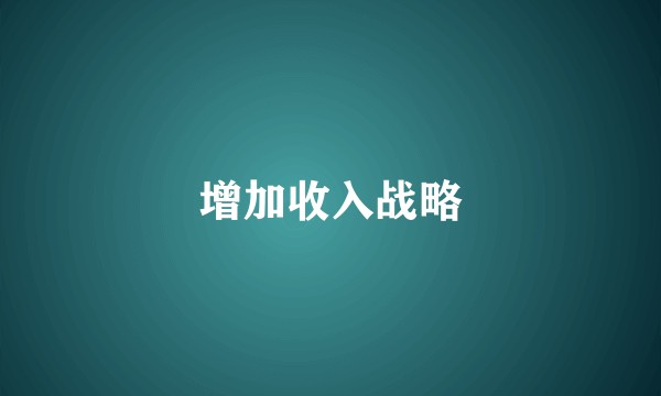 增加收入战略
