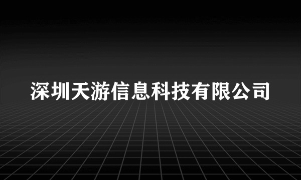深圳天游信息科技有限公司