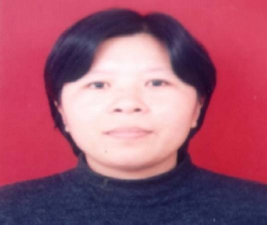 孙晓红(郑州大学教授)