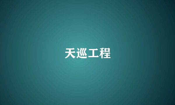 天巡工程