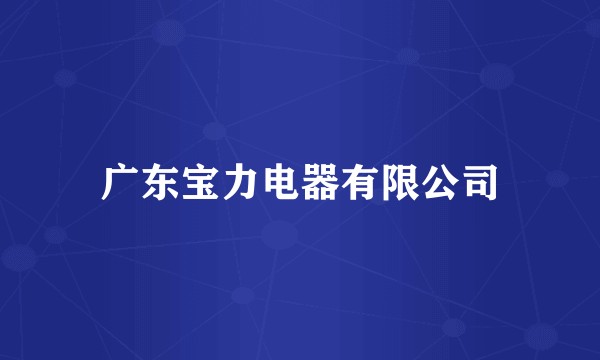 广东宝力电器有限公司