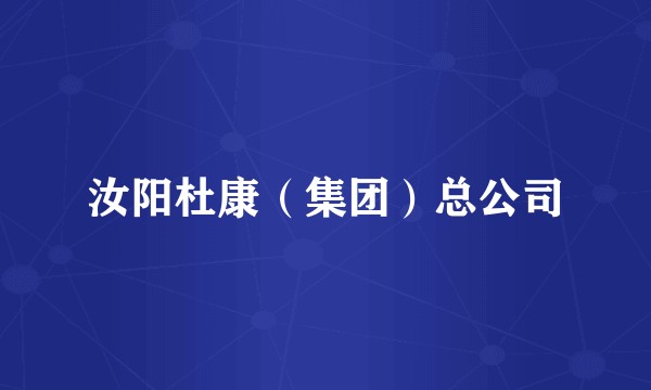 汝阳杜康（集团）总公司