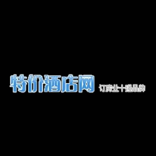 特网网络咨询有限公司