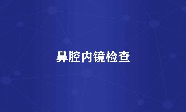 鼻腔内镜检查