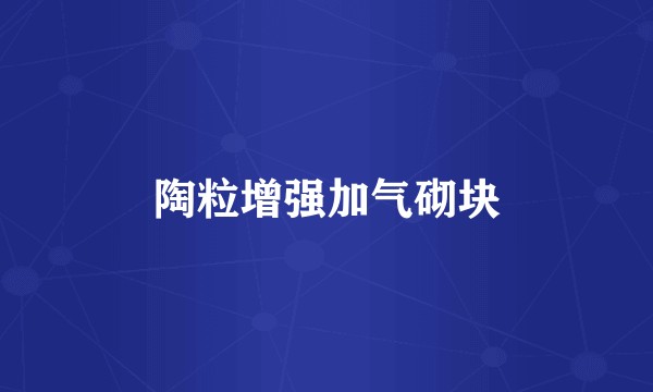 陶粒增强加气砌块