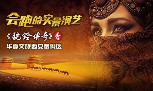 驼铃传奇