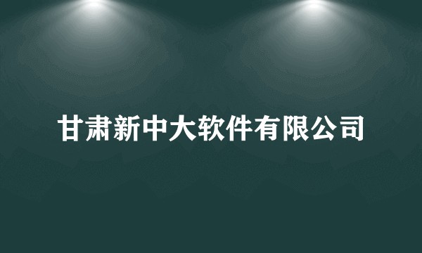 甘肃新中大软件有限公司