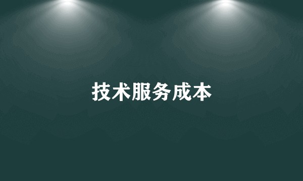 技术服务成本