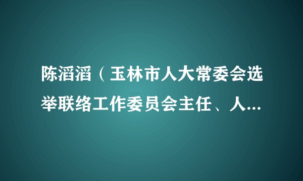 陈滔滔(玉林市人大常委会选举联络工作委员会主任、人大社会建设委员会副主任委员)