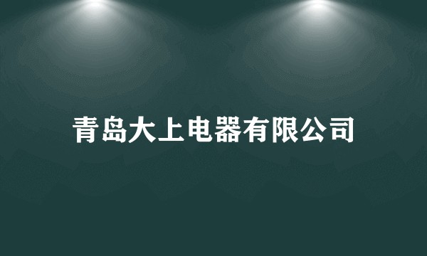 青岛大上电器有限公司