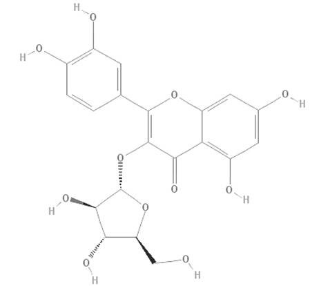 黄酮苷