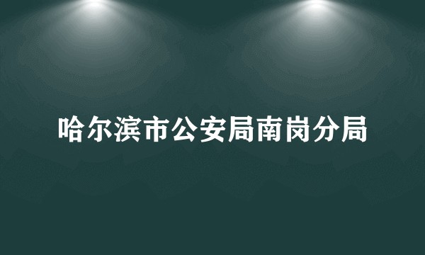 哈尔滨市公安局南岗分局