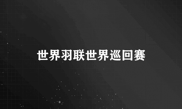 世界羽联世界巡回赛