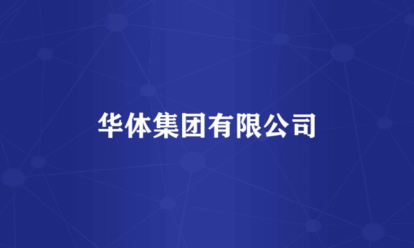 华体集团有限公司